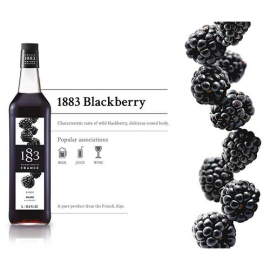 1883 Maison Routin Syrup Black Berry 1.0L
